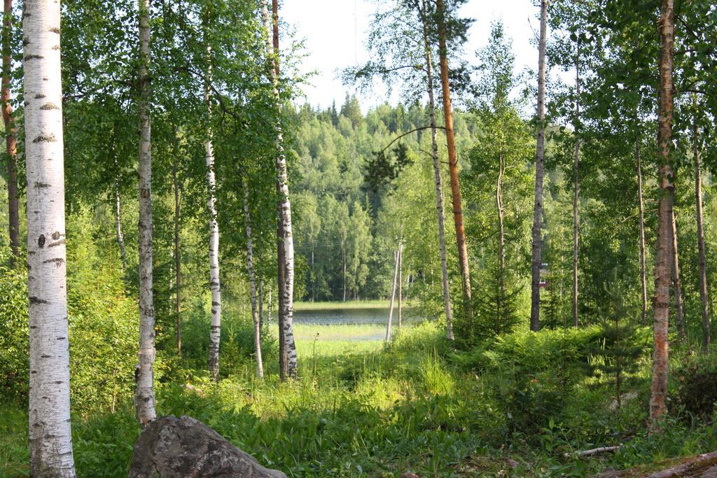 SiikavaRuhmaslehto别墅 外观 照片