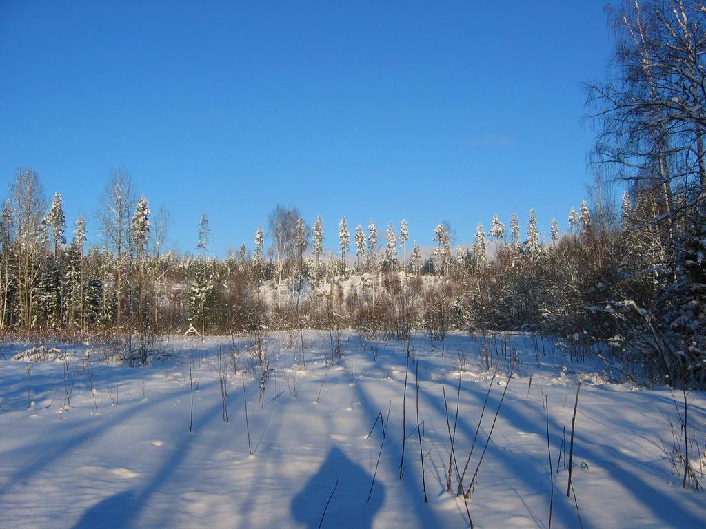SiikavaRuhmaslehto别墅 外观 照片
