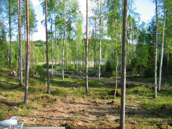 SiikavaRuhmaslehto别墅 外观 照片